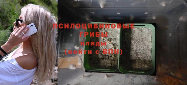 скорость Лиски